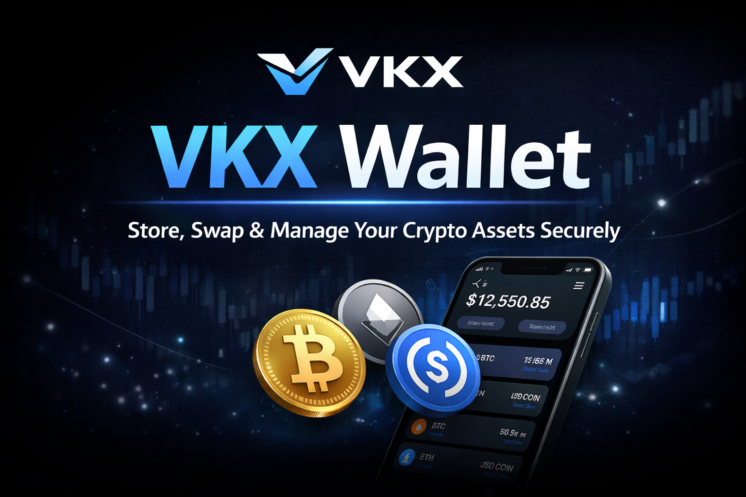 VKX Wallet